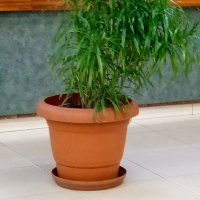 La Grâce Pitshou Kitoko