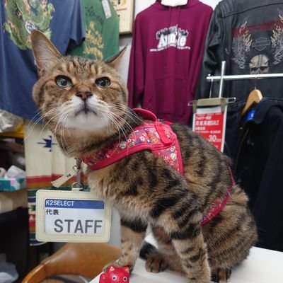 USED clothingStore K2SELECT