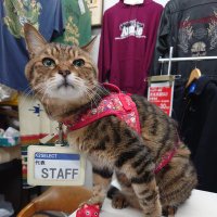 USED clothingStore K2SELECT