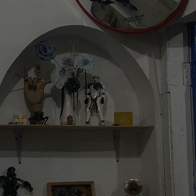 ꒰ᐢ. .ᐢ꒱₊˚⊹