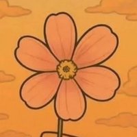 Decolores🌼🌺🪻🌻🌸🌹🪷