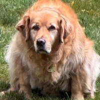 Carson Cooper’s GF #1 Hater ❌