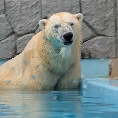 Shizuoka Full Moon Store 🇯🇵 | eBay Seller