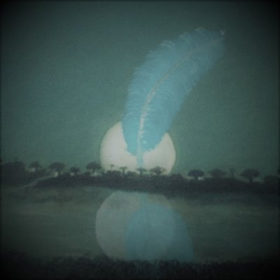 Miguel Angulo Alemán