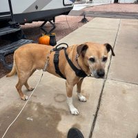 Jerry2017 🇺🇸🇮🇱