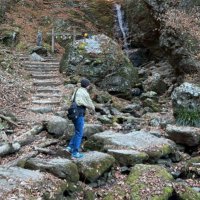 あーちゃん@ししとうの旦那🦁