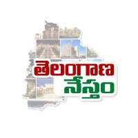 Telangana Nestham
