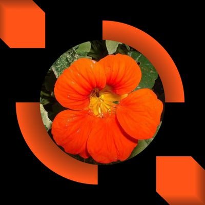 Natugardener 🌍😷🏡🌳🔫🎧