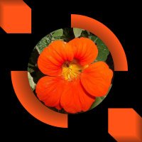 Natugardener 🌍😷🏡🌳🔫🎧