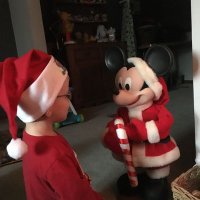 Janet Venator 👩‍🏫