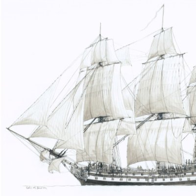 The Merriman Chronicles Book Series