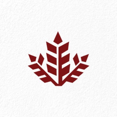 neohistoria Indonesia