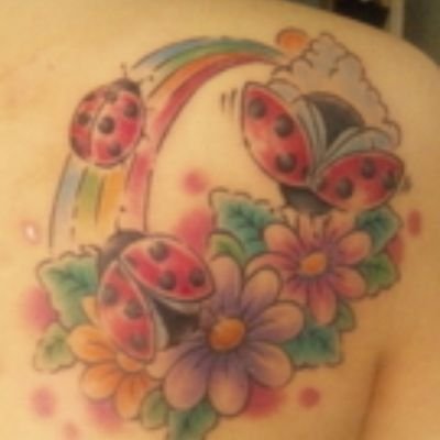 星野にちき(頭と心が弱い)