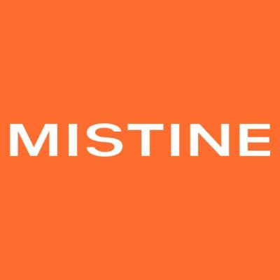 MISTINE COSMETICS