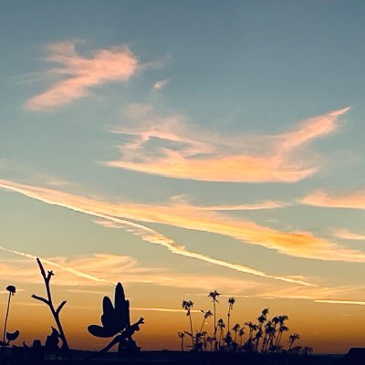 CleveresVögelchen💚