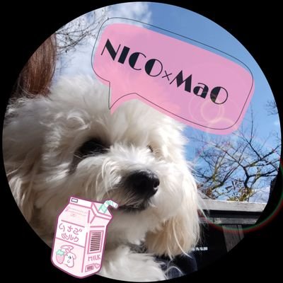 ☺︎MaO×Nicho☺︎ʷᵉᵒⁿꜰⁱʳᵉ☾⋆