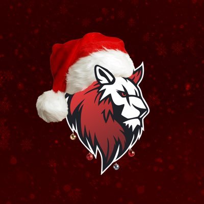 Leo Team CS2 🇺🇦