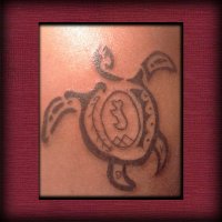 Manuel Lobos G🌱🇨🇱