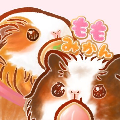 ももみかん🍑🍊