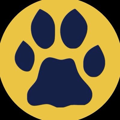 Tom Kaufman 🇺🇸