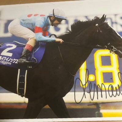 🐴COLOR🐴データ特化型