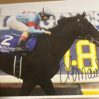 🐴COLOR🐴データ特化型