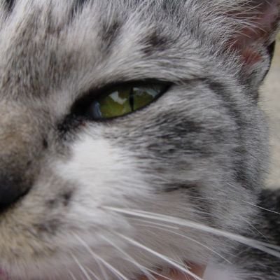 かずひろ.ゆきまる