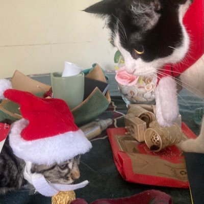 💙🌟🌸Butters🌍🥂💕🐾 Never Forget🎉🌸🪅