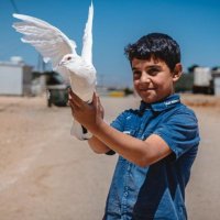 Jeffry W.H. van Hooydonk