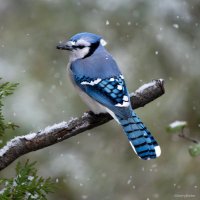 Jan Malcolm 🇨🇦🇬🇱🇺🇦💔