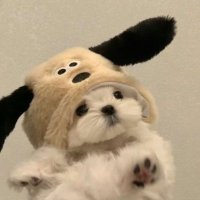 恋するあられちゃん