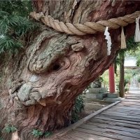 ryumam20@🌸第11期満開部