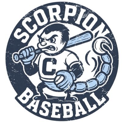 Camarillo High School Baseball