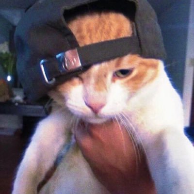 hotel in minsk 🕷️