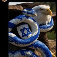 Dreaming A Little Dream