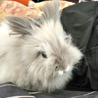 さんぴん_(:3｣∠)_