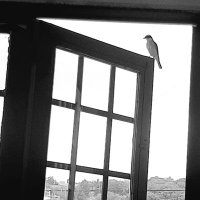 Hija del Sol 🧘‍♀️