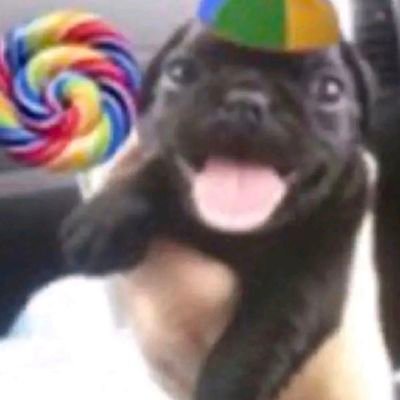 𝙿𝚊𝚞𝙿𝚊𝚞