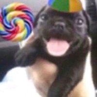 𝙿𝚊𝚞𝙿𝚊𝚞