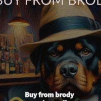 buy from brody
