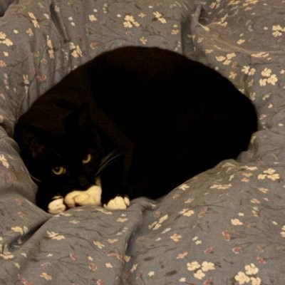 i’ll be the one reading