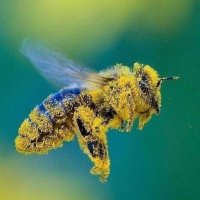 LifeIsJoke orNot 🤣😢🏳️🕊️