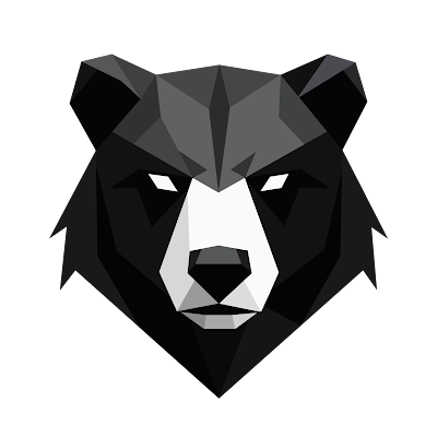 Vanguard Bear | Cybersecurity for SMBs