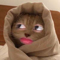 บอสอ🦋 ft.ออซ