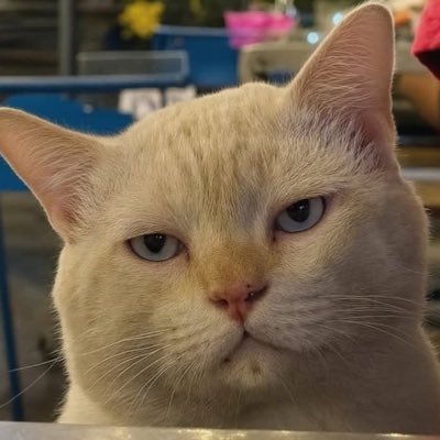 ayu takde ayu nangis