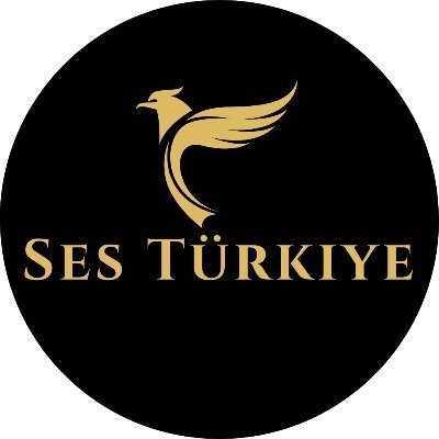 Ses Türkiye
