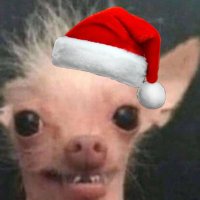 와규아가리 (상태: 뷔륵,뷔륵)