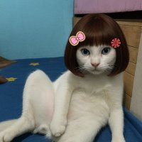 MaMaMeHo❤️🖤 รอบั้มเมกาที่ท่าน้ำ