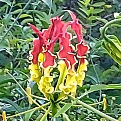 TruthHurts737- I stand with 🇵🇸