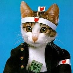 猫に踏まれるかずま